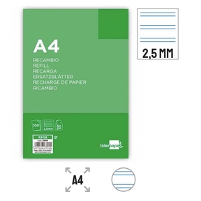 Ricarica carta Liderpapel 60 g Carta foderata 2,5 mm (4 fori)