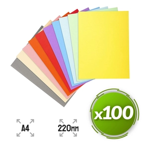 Sottomano Exacompta A4 220 g Cartoncino Riciclato 100 pz Colori Assortiti